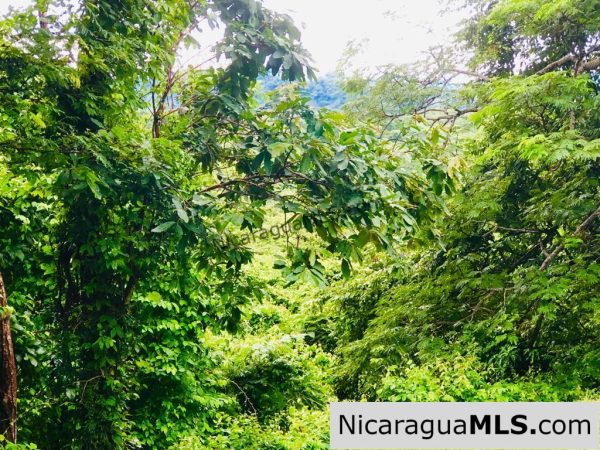 Las Fincas Lot 24 1.24 Acres With Commercial or Residential Potential - Image 7