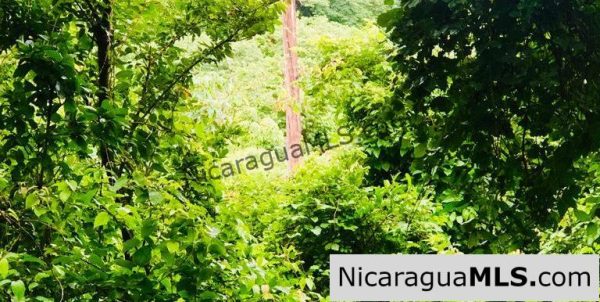 Las Fincas Lot 24 1.24 Acres With Commercial or Residential Potential - Image 8