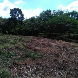 Ocean View Lot 46 for sale in Lomas de Palermo Overlooking SJDS