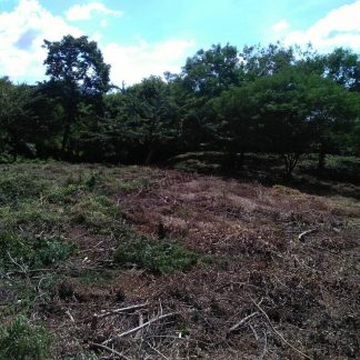 Ocean View Lot 46 for sale in Lomas de Palermo Overlooking SJDS