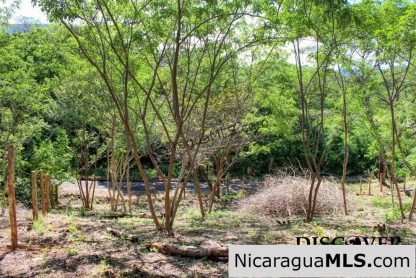 Lomas de San Juan Privileged Neighborhood and View Lot