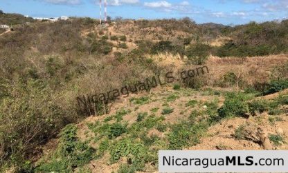 Ecodesarrollo Miramar Lot B12