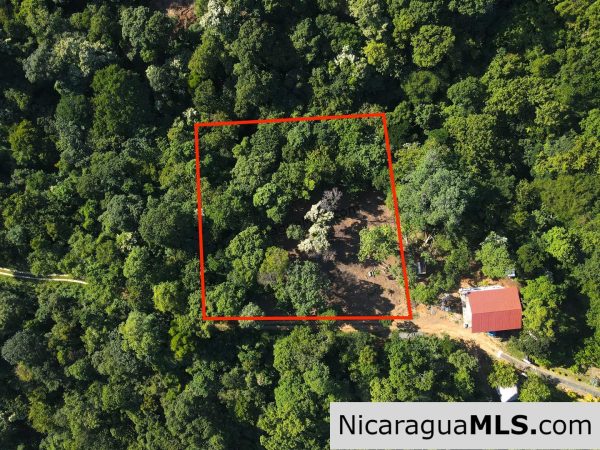 Beautiful lot within walking distance of Playa Maderas - Image 3