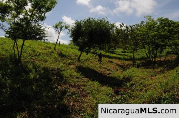 Lot 15 in El Encanto del Sur - Image 5