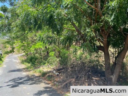 Lot 39 in Lomas de San Juan