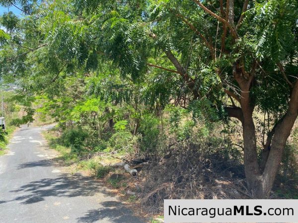 Lot 39 in Lomas de San Juan - Image 3