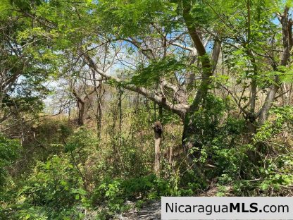 Lot 39 in Lomas de San Juan