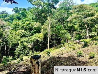 Lot Opportunity in Playa Maderas