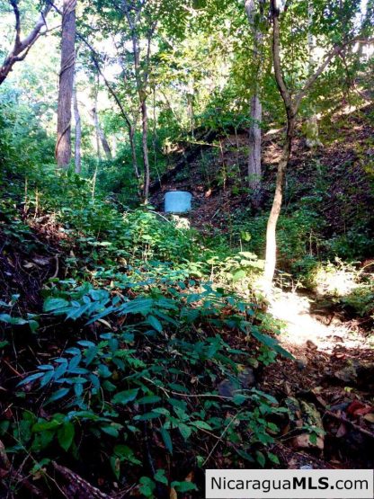 Lot Opportunity in Playa Maderas