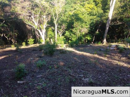 Lot Opportunity in Playa Maderas