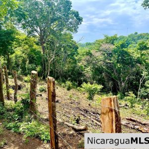 Lot Opportunity in Playa Maderas