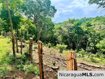 Lot Opportunity in Playa Maderas
