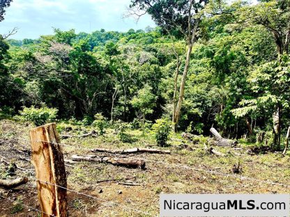 Lot Opportunity in Playa Maderas
