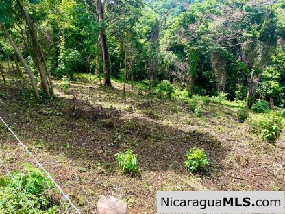 Lot Opportunity in Playa Maderas