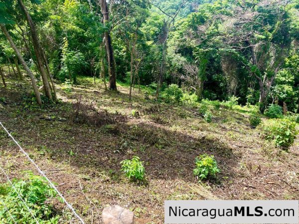 Lot Opportunity in Playa Maderas - Image 3