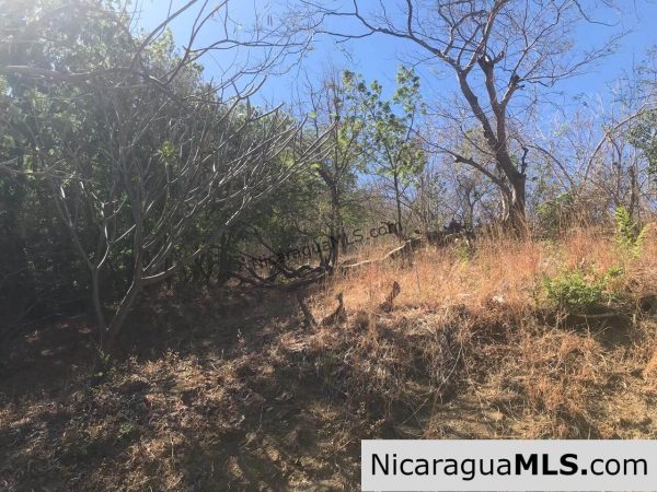 Lot with panoramic view located on the slopes of Pacific Marlin, San Juan del Sur. - Image 3