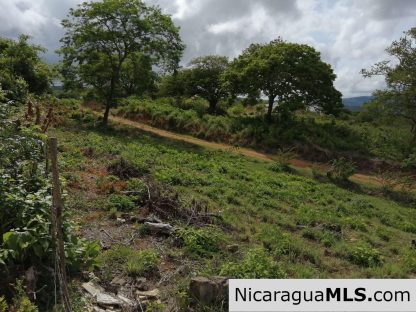 Ocean view lot in Lomas de San Juan