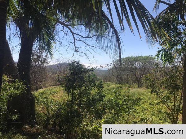 3 Lots for sale in Rancho El Papayal, San Juan del Sur. Panoramic views - Image 2