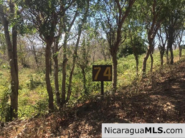 3 Lots for sale in Rancho El Papayal, San Juan del Sur. Panoramic views - Image 3