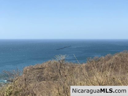 Penthouse Lots at Pacific Marlin