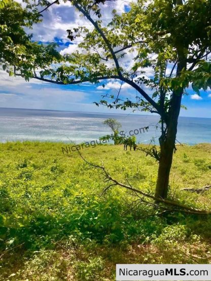Premium Lots in Playa Remanso, San Juan del Sur