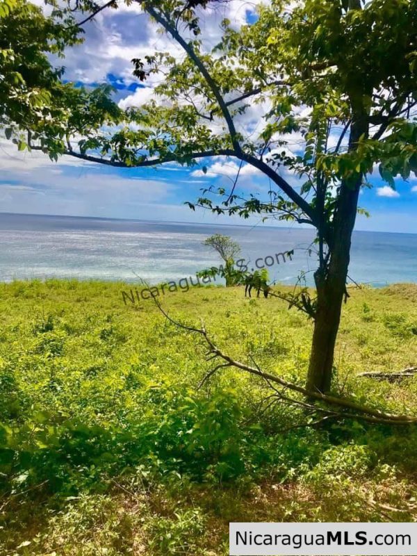 Premium Lots in Playa Remanso, San Juan del Sur - Image 6
