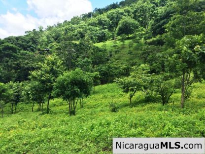 Off Grid Tranquil Paradise Only 20 Minutes North of San Juan del Sur