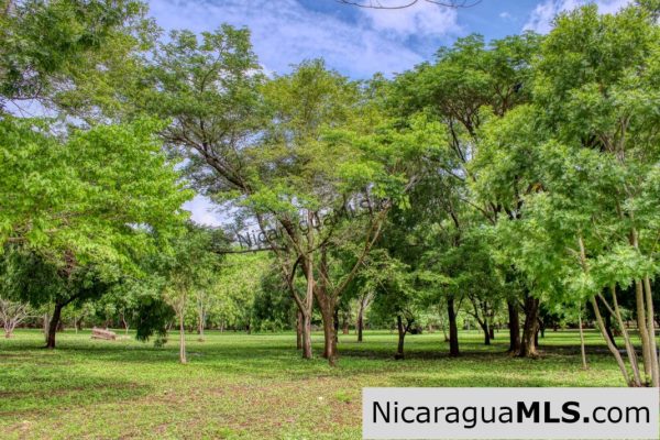Beautiful Park Setting 4.5 Acres on Road to Maderas - Image 10