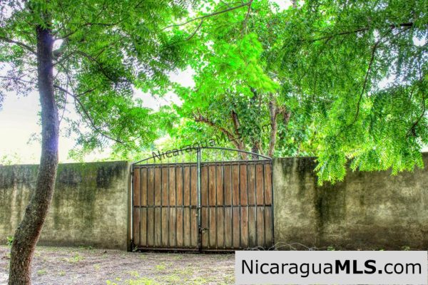 Beautiful Park Setting 4.5 Acres on Road to Maderas - Image 12