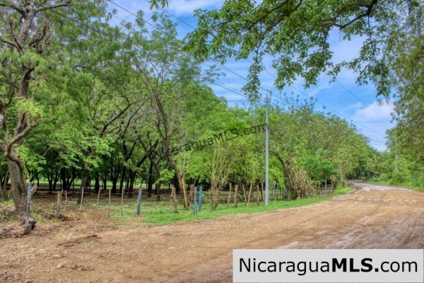 Beautiful Park Setting 4.5 Acres on Road to Maderas - Image 13