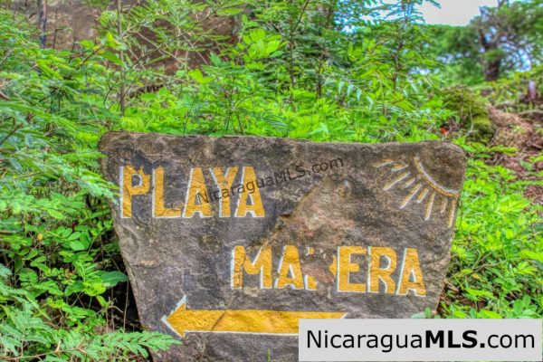 Beautiful Park Setting 4.5 Acres on Road to Maderas - Image 15
