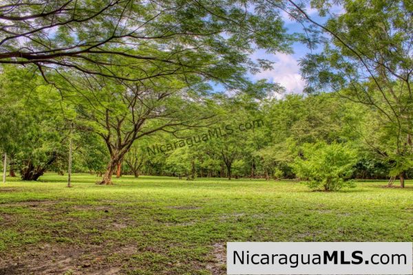 Beautiful Park Setting 4.5 Acres on Road to Maderas - Image 2