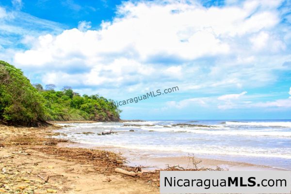 Beautiful Park Setting 4.5 Acres on Road to Maderas - Image 20