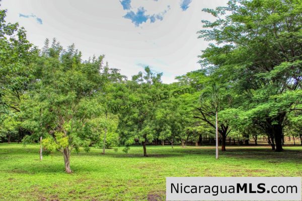 Beautiful Park Setting 4.5 Acres on Road to Maderas - Image 4