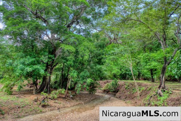 Beautiful Park Setting 4.5 Acres on Road to Maderas - Image 8