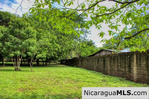 Beautiful Park Setting 4.5 Acres on Road to Maderas - Image 9