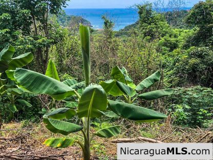 Maderas Ocean View Bargain Views of 4 Bays and Costa Rica