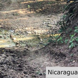 Miravalle Farm for Sale 7km From Town 8 or 18 Manzanas
