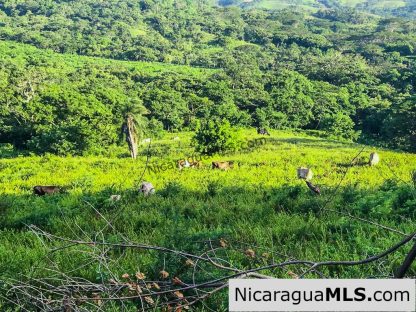 Miravalle Farm for Sale 7km From Town 8 or 18 Manzanas