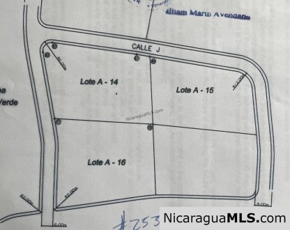 Half Acre Lot Luxury Life Development TreeCasa FIRE SALE