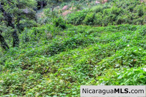 Lot 10 Montemar 5 minutes Walk to Beach in Town - Image 10