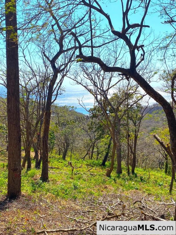Vista Cinco Bahias lot 10 at Playa Maderas, north of San Juan del Sur - Image 3