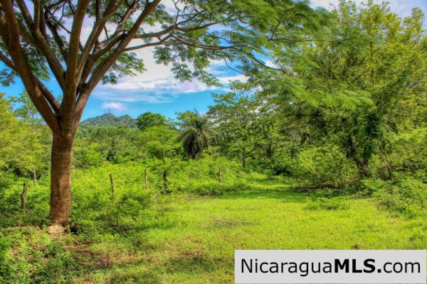 Panoramic View Estate 3 bed house 8.5 Acres in El Oro - Image 12