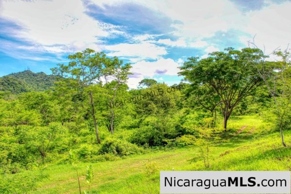 Panoramic View Estate 3 bed house 8.5 Acres in El Oro - Image 14