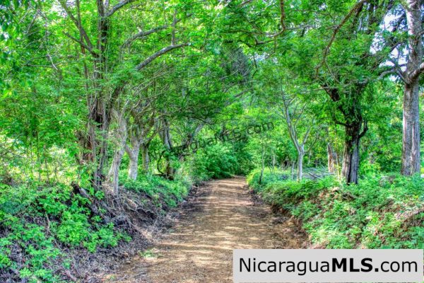 Panoramic View Estate 3 bed house 8.5 Acres in El Oro - Image 15