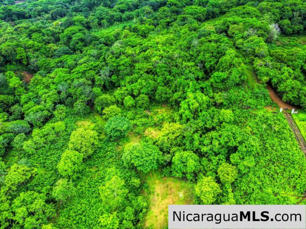 Panoramic View Estate 3 bed house 8.5 Acres in El Oro - Image 18