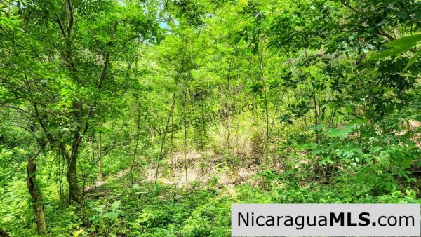 Ocean View Vacant Lot in Villas Oro San Juan del Sur - Image 5