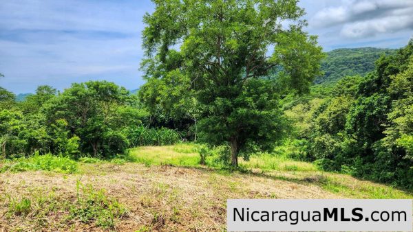 Double Lot Half Price Ocean Mountain View San Juan del Sur - Image 4