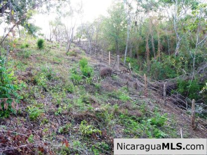 Las Escaleras Lot #2 200 Degree Views from this Hilltop Lot