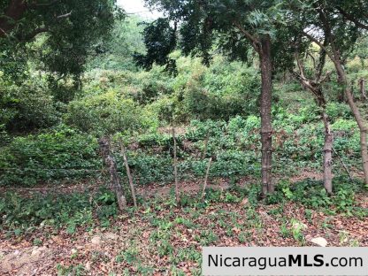 Playa Maderas Bargain 3.1 Acre Property